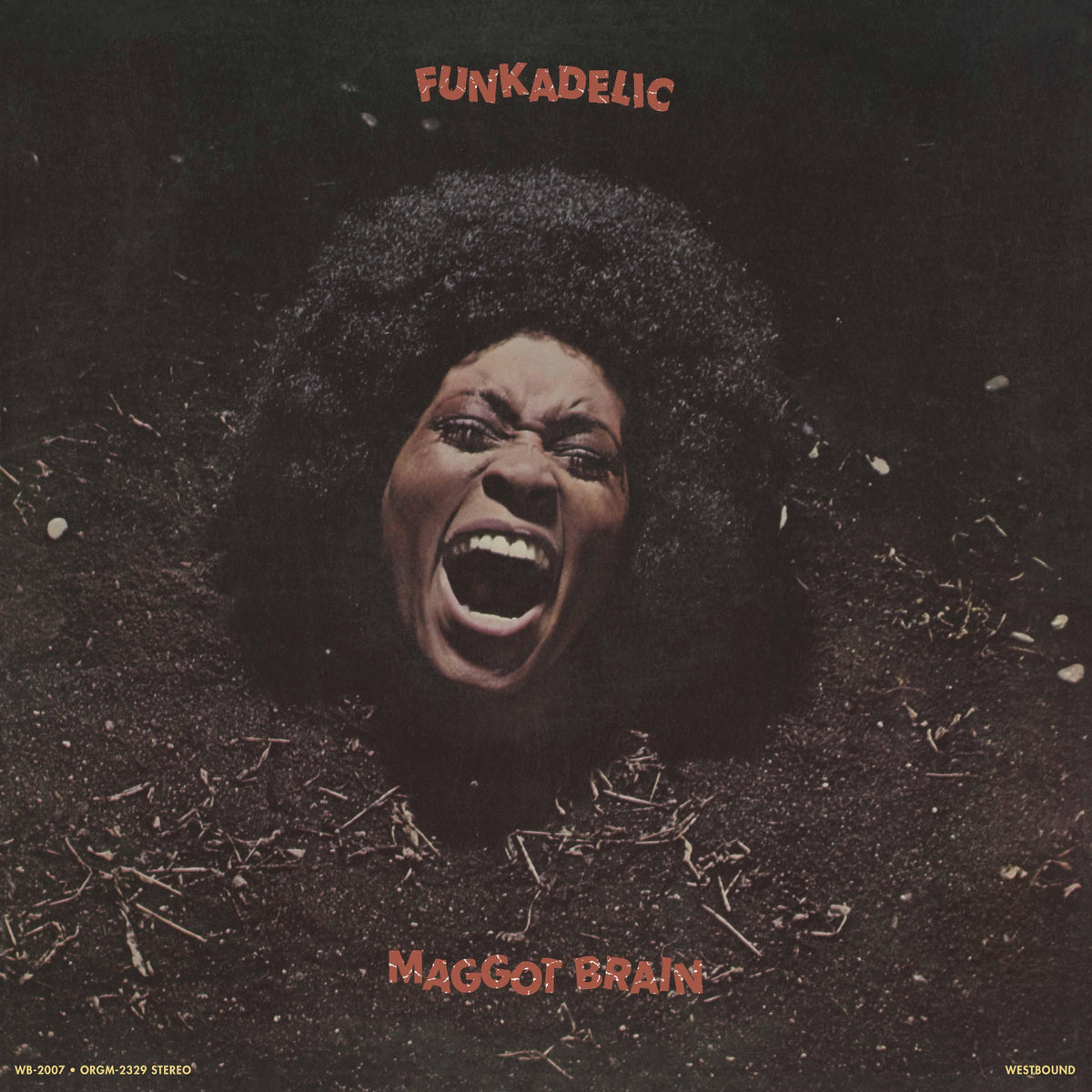 Funkadelic Maggot Brain Standard Black LP